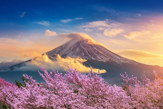 Banner blühende Kirschbäume am Fuji Berg in Japan als Textilbanner oder PVC-Banner