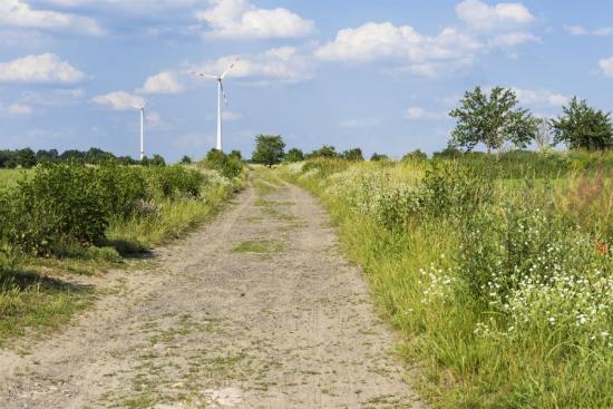 Banner Feldweg und Windräder in der Natur als Textilbanner oder PVC-Banner für Messen, Schaufenster etc.