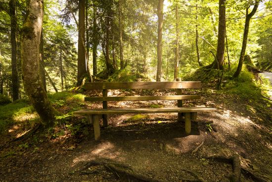 Banner Bank im Wald in den Alpen in Österreich als Textilbanner oder PVC-Banner