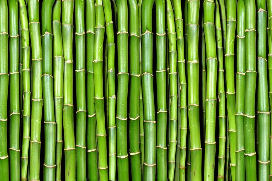 Banner grüne Bambuswand für Meditation und Entspannung als Textilbanner oder PVC-Banner