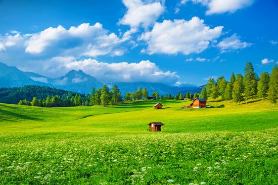 Banner grüne Landschaft in den Alpen in Österreich als Textilbanner oder PVC-Banner für Hochzeiten, Schaufenster, Messen etc.