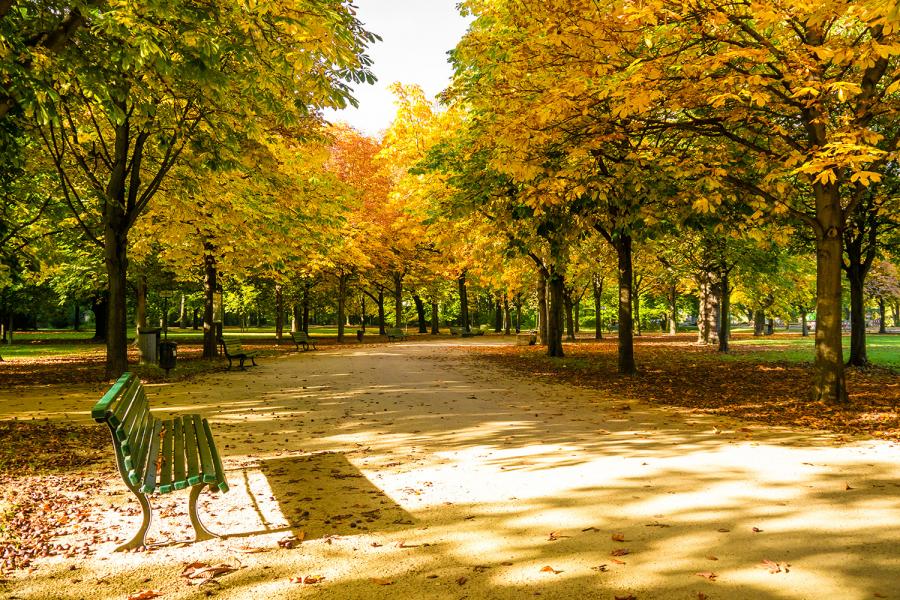 Banner Herbst im Tiergarten von Berlin als Textilbanner oder PVC-Banner für z.B. Schaufenster