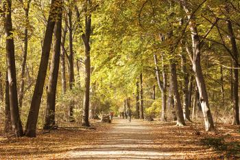 Banner Herbst in Berliner Tiergarten als Textilbanner oder PVC-Banner